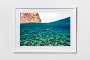 Shadow Box | White 125cm x 91cm | $1,300