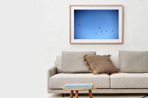 Frame Shadow Box | Raw 125cm x 91cm | $1,500