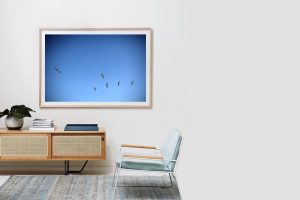 Frame Shadow Box | Raw 167cm x 118cm | $3,200