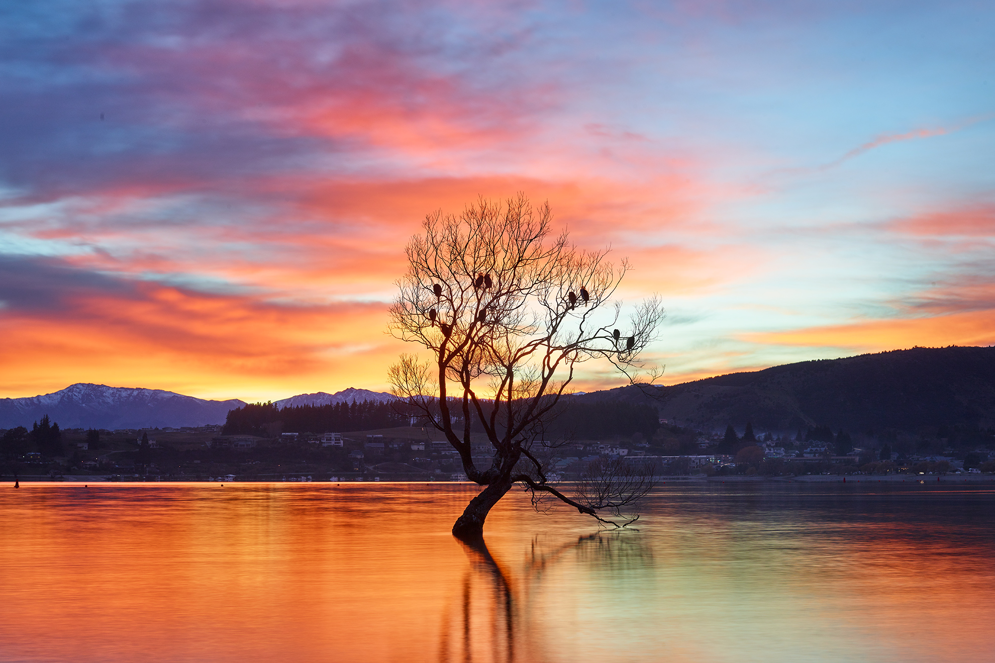 Wanaka Colours Aquabumps cf007101