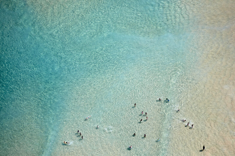 Swimmers In The Green Aquabumps r9a4101