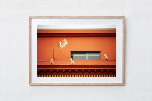 Shadow Box | Raw 125cm x 91cm | $1,500