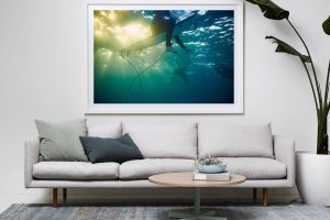 Frame Shadow Box | White 167cm x 118cm | $2,050