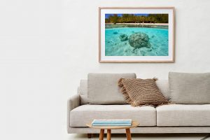 Frame Shadow Box | Raw 125cm x 91cm | $965