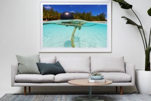 Frame Shadow Box | White 167cm x 118cm | €2,080