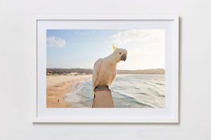 Shadow Box | White 125cm x 91cm | €975