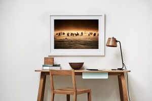 Frame Shadow Box | White 95cm x 70cm | $900