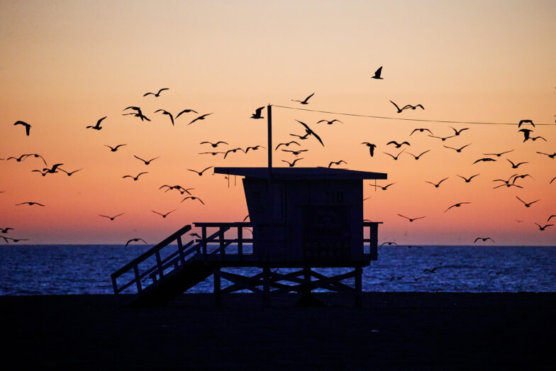 Santa Monica, The light here is pretty special