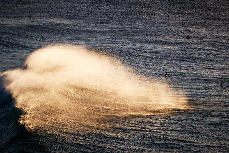 Gorillas in the mist, Bronte