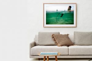 Frame Shadow Box | Raw 125cm x 91cm | $1,500