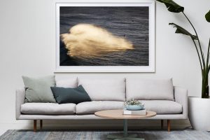 Frame Shadow Box | White 167cm x 118cm | $2,050