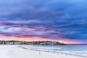 We were given a little treat this morning...Bondi