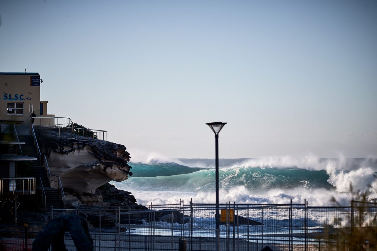 Rogue Tamarama, Sat 22 July 2017