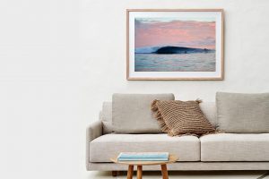 Frame Shadow Box | Raw 125cm x 91cm | $1,050