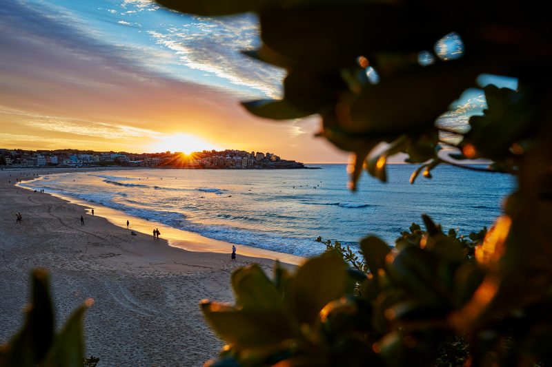 Good morning from Bondi