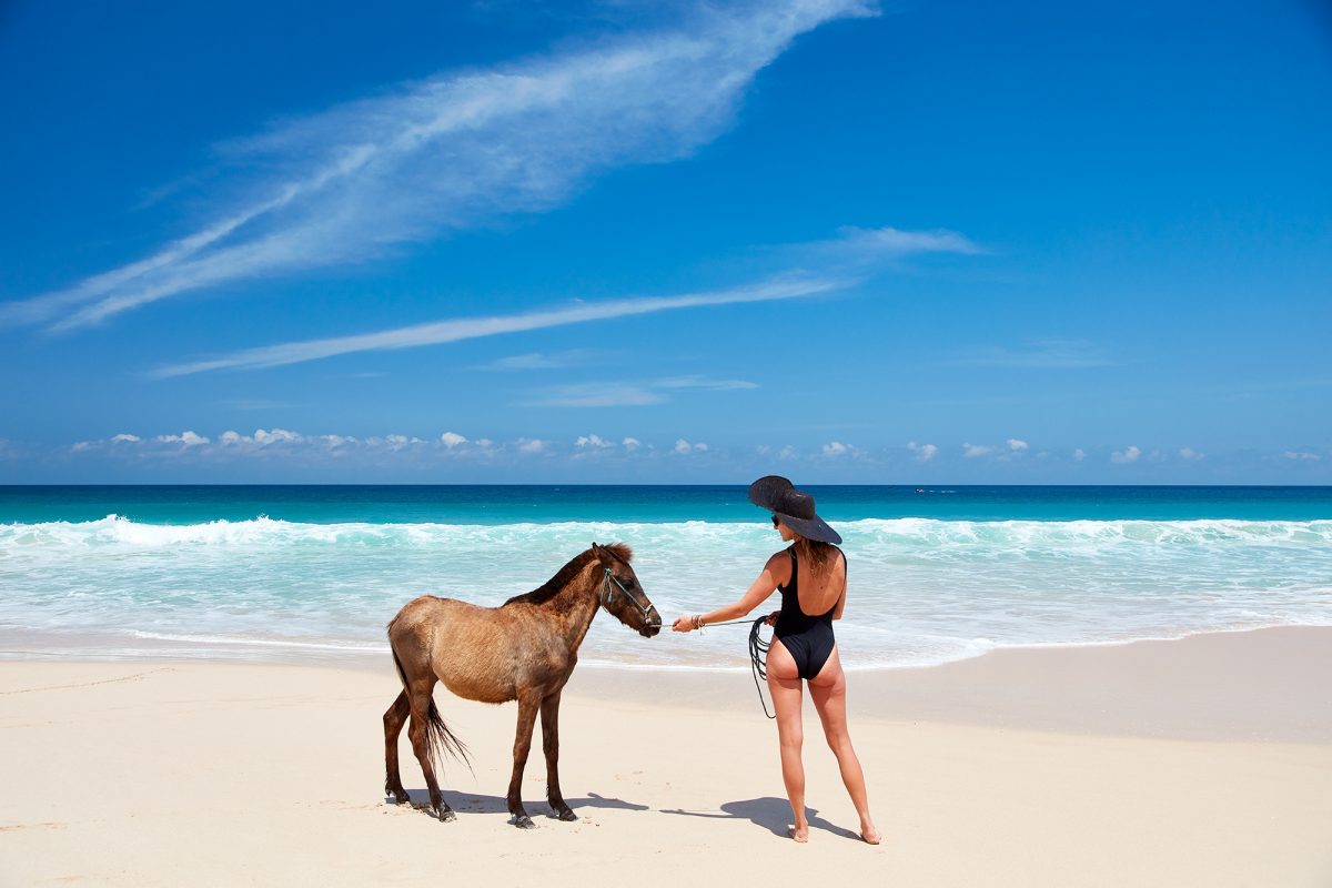 When the surf is flat, take your pony for a walk