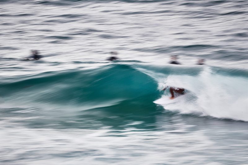 The Friendy morning dominance, Bondi Beach