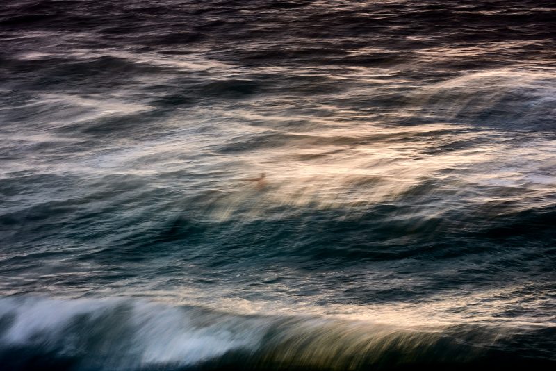 Solitude at Bondi, 6:30am today