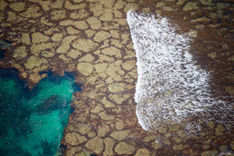 The reef wave, Rottnest Island WA