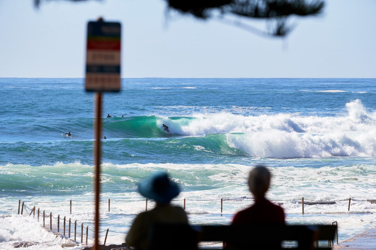 Crowd pleaser, Northern Beaches