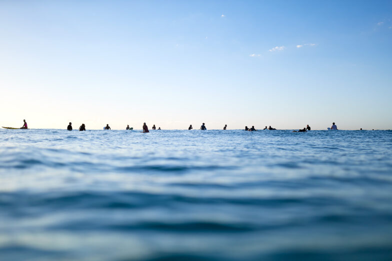 Hungry pack, middle Bondi Beach