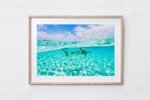 Shadow Box | Raw 125cm x 91cm | $1,500
