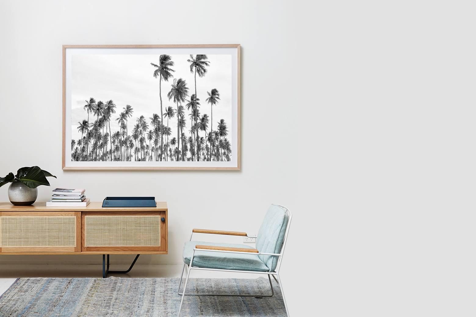'Palms-r-us' in our Raw Wood Shadowbox 167cm x 118cm