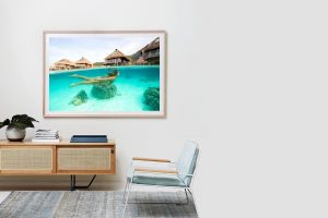 Frame Shadow Box | Raw 167cm x 118cm | $3,200