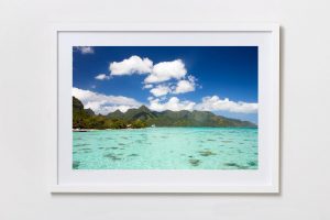 Shadow Box | White 125cm x 91cm | $965