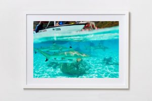 Shadow Box | White 125cm x 91cm | $1,500