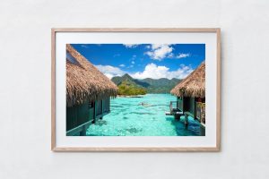 Shadow Box | Raw 125cm x 91cm | $1,050