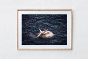 Shadow Box | Raw 125cm x 91cm | €975