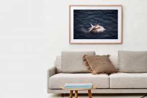 Frame Shadow Box | Raw 125cm x 91cm | €975