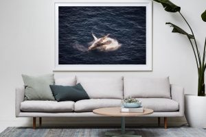 Frame Shadow Box | White 167cm x 118cm | €2,080