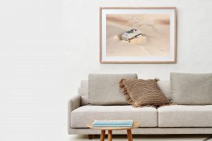 Frame Shadow Box | Raw 125cm x 91cm | $965