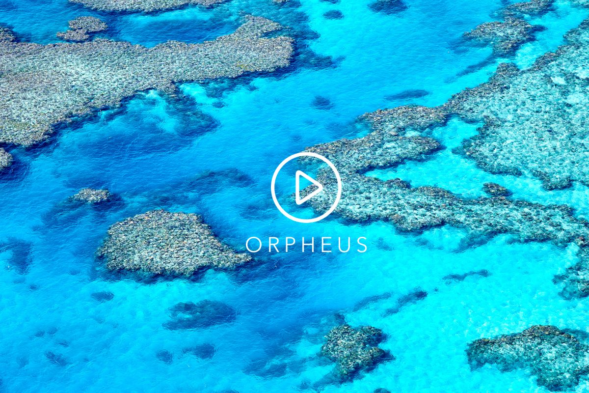 Watch a 1 minute tour of Orpheus Island