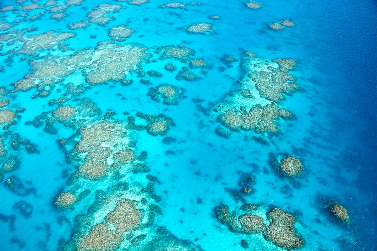 The jaw dropping Great Barrier Reef