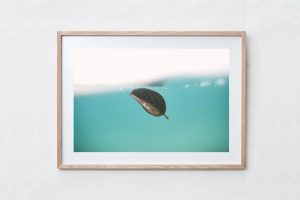 Shadow Box | Raw 125cm x 91cm | €975