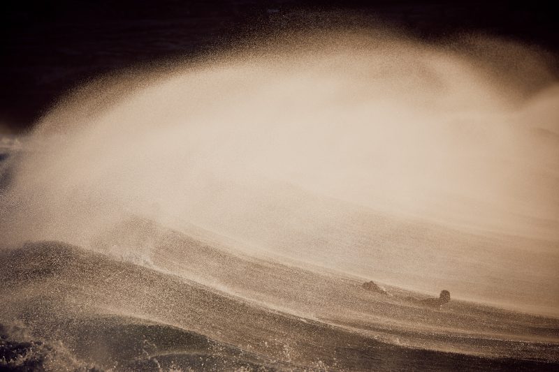 Big set plume, Bronte