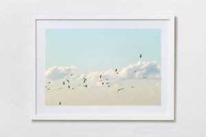 Shadow Box | White 125cm x 91cm | €975