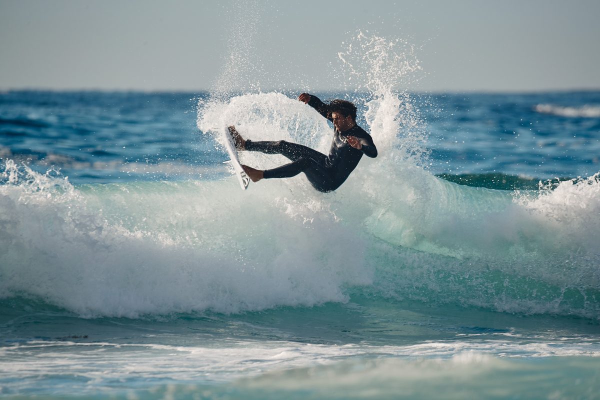 Sage blowing tails and up early for once. Bondi