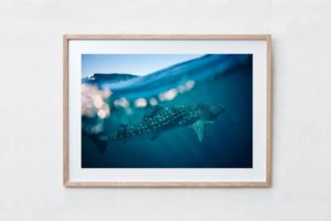 Shadow Box | Raw 125cm x 91cm | $1,300