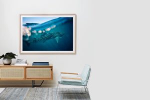Frame Shadow Box | Raw 167cm x 118cm | $3,150