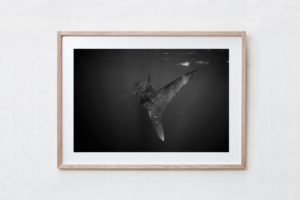 Shadow Box | Raw 125cm x 91cm | €975