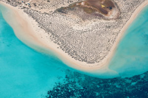 Ningaloo perfection.