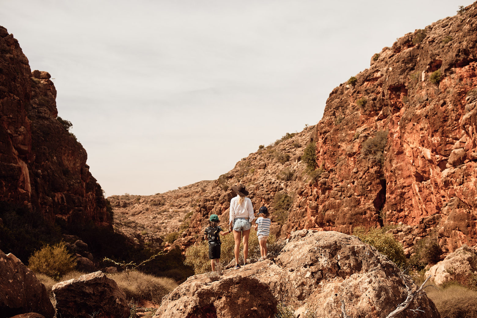 Rock Wallabie searching in the nearby canyon