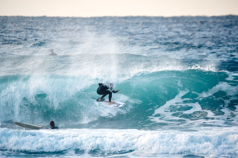 Wal, ducking and weaving, Bondi Beach