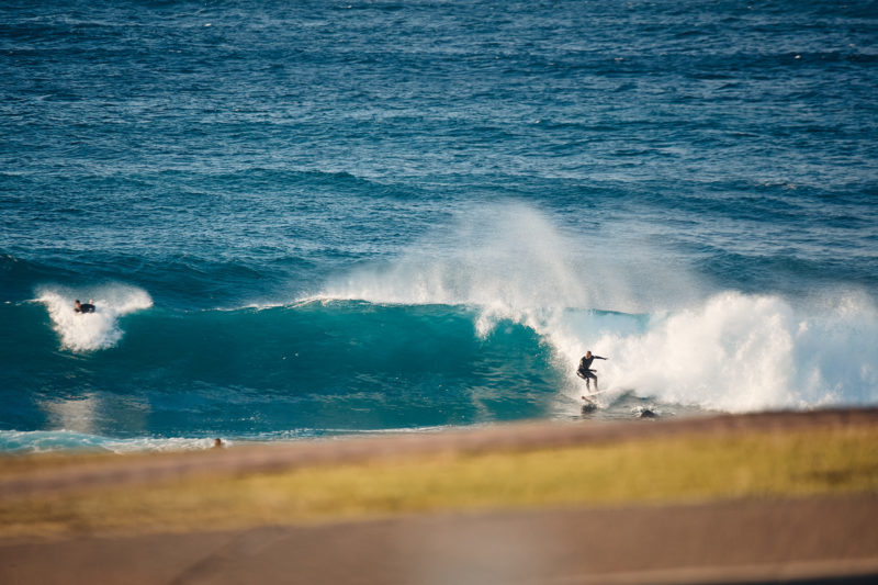 Chunky south swell in town, Bondi