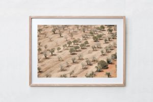 Shadow Box | Raw 125cm x 91cm | $965