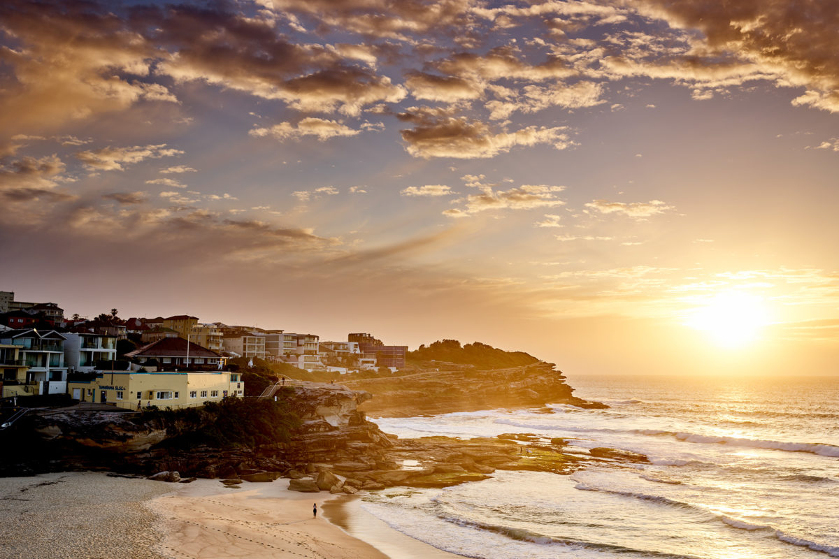 Shop Tamarama Prints Aquabumps Shop Tamarama Prints Aquabumps